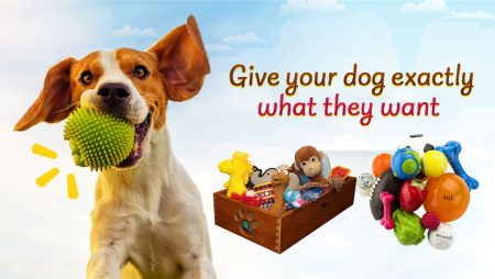 Here’s The Monthly Dog Toy and Treat Box: BarkBox.