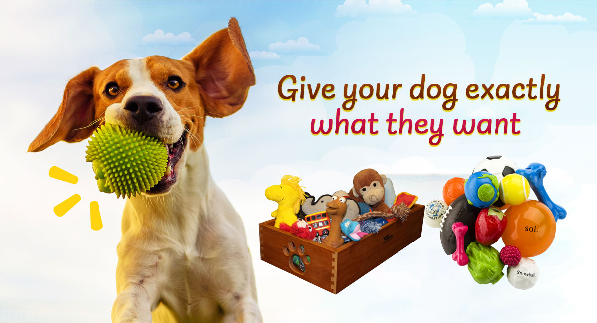 Here’s The Monthly Dog Toy and Treat Box: BarkBox.