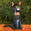 42″ Inflatable Black Cat