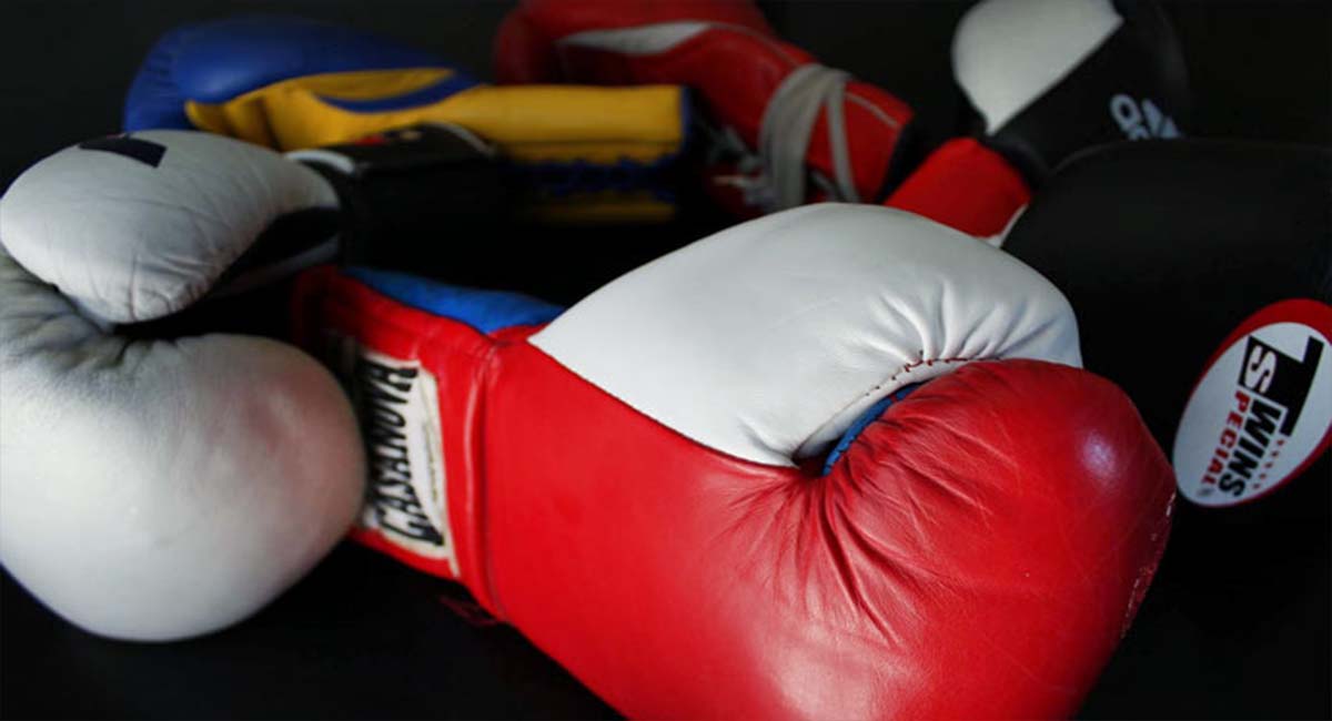 Top 5 Everlast Boxing Gloves Review