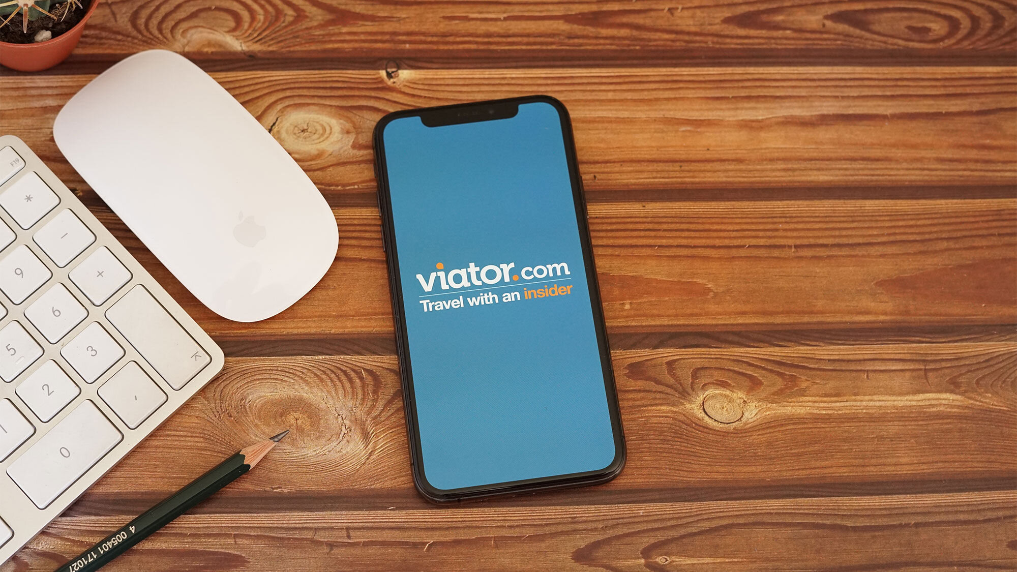 Viator Tours