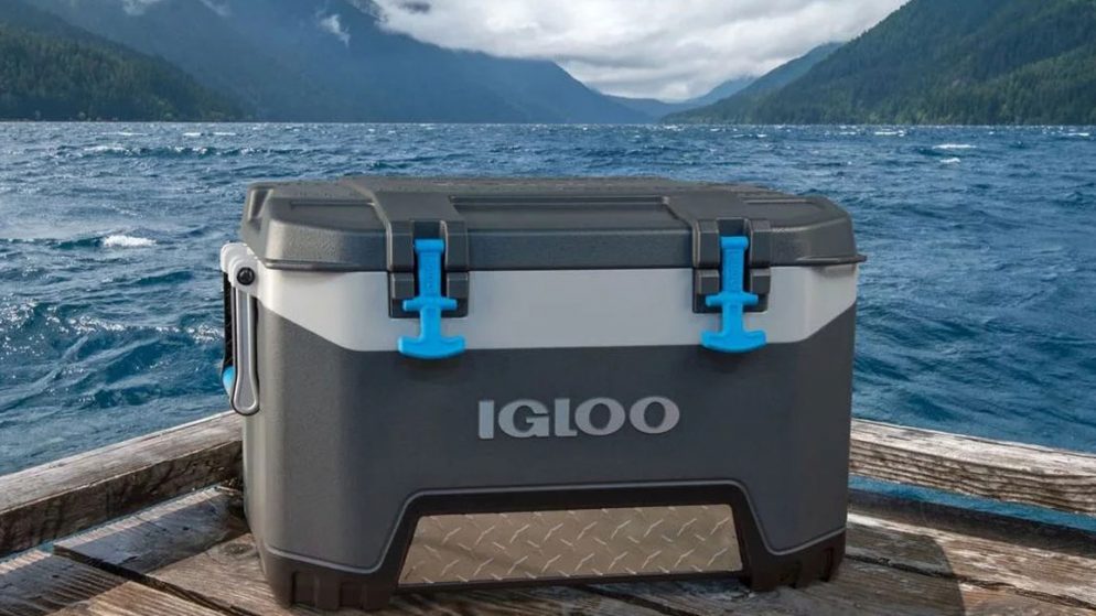 Everything You Need to Know About the Igloo Coolers