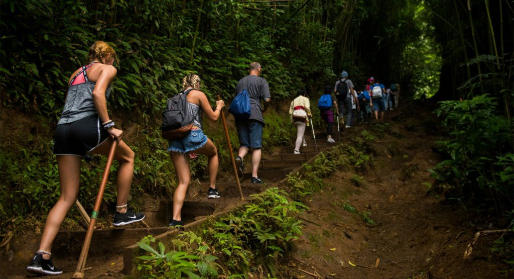 Sustainable Travel with Viator