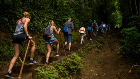 Sustainable Travel with Viator: Eco-Friendly Tours and Activities